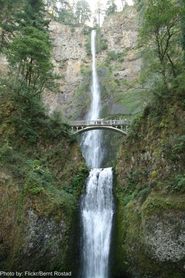 Top 10 Things to do in Oregon with Kids