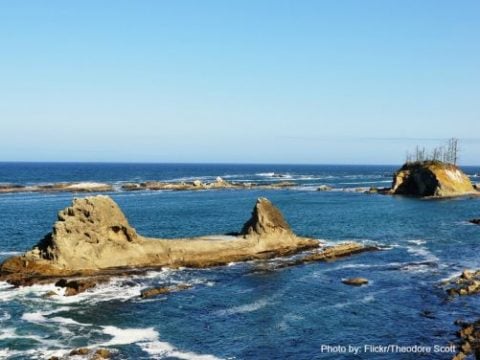 Top 5 Things To Do on the Oregon Coast with Kids