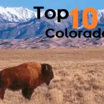 Top 10 colorado with kids