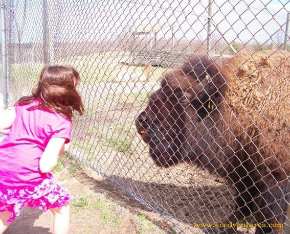 Exploring Hands-on History in Kansas City with Kids