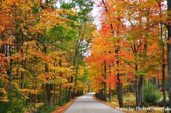 new hampshire fall foliage