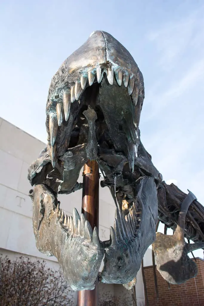 museum of the rockies is a great place for dinosaur lovers to visit in Montana