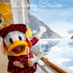 Disney Alaska Cruise Pinterest