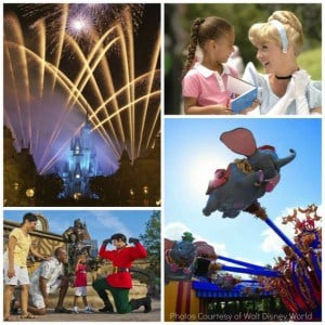 Top Ten Amusement Parks for Young Kids - Trekaroo Family Travel Blog