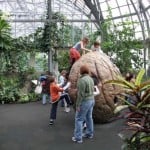 Garfield_Park_Conservatory_Childrens_Garden