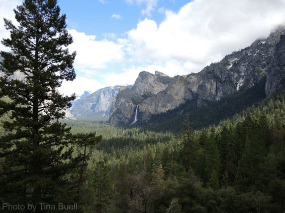 Three National Parks in Three Days: Yosemite Photo by: Tina Buell