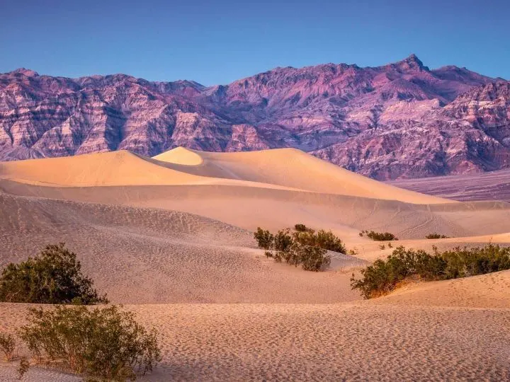 Desert National Parks