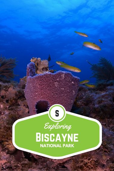 Exploring Biscayne National Park with Kids