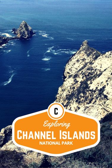 Exploring Channel Islands National Park with Kids