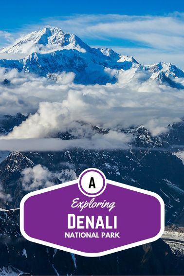 Exploring Denali National Park with Kids