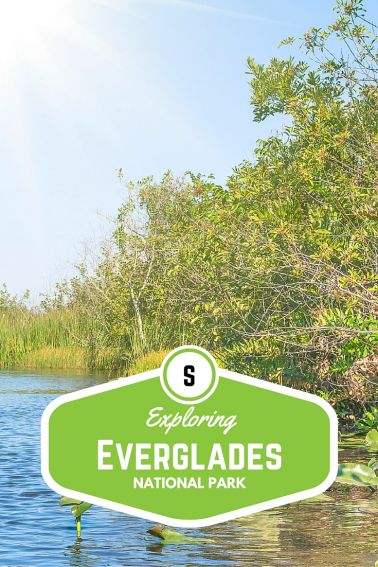 Exploring Everglades National Park with Kids