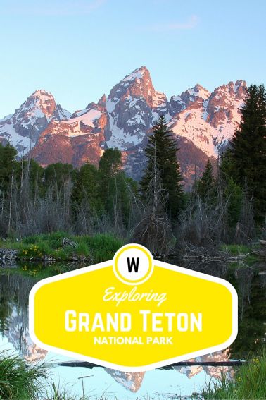 Exploring Grand Teton National Park with Kids