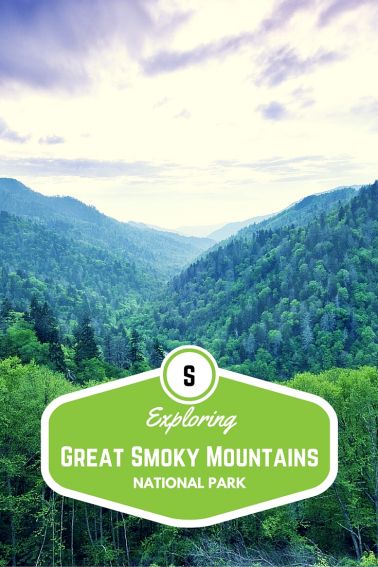 Exploring Great Smoky Mountains National Park with Kids