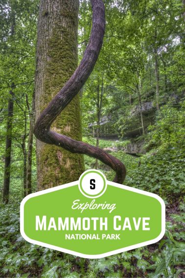 Exploring Mammoth Cave National Park with Kids