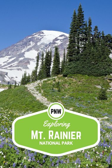 Exploring Mt Rainier National Park with Kids