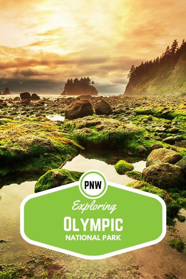 Exploring Olympic National Park with Kids