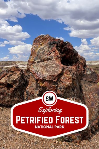 Exploring Petrified Forest National Park with Kids