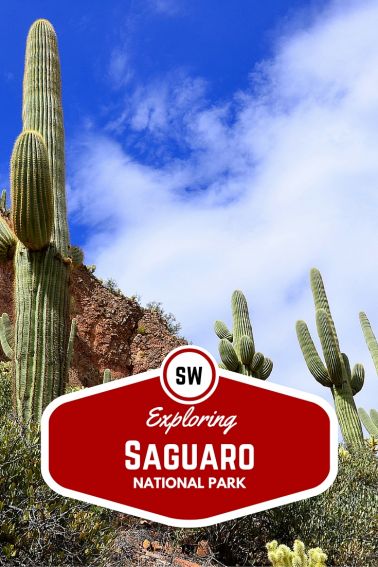 Exploring Saguaro National Park with Kids