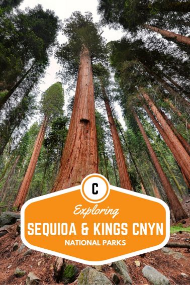 Exploring Sequoia & Kings Canyon National Parks with Kids