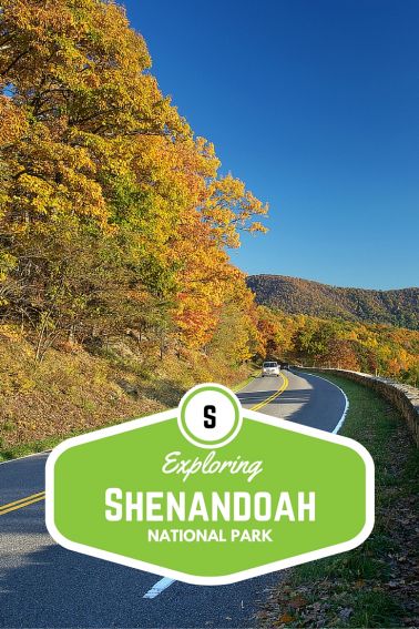 Exploring Shenandoah National Park with Kids