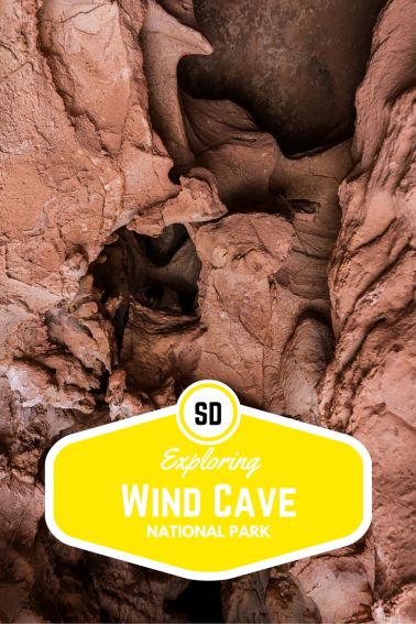 Exploring Wind Cave National Park with Kids
