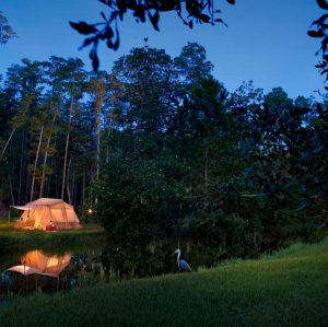 Should Your Family Stay at Disney’s Fort Wilderness Resort?