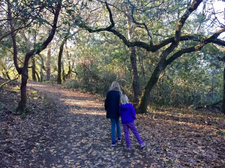 things to do in Santa Rosa with kids include Jack London State Park