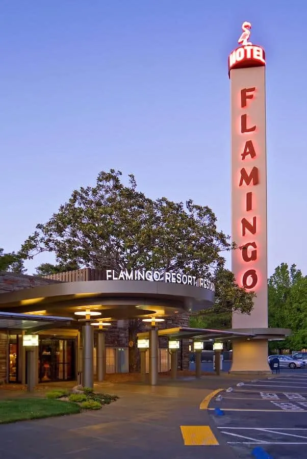 flamingo-hotel-things-to-do-in-santa-rosa