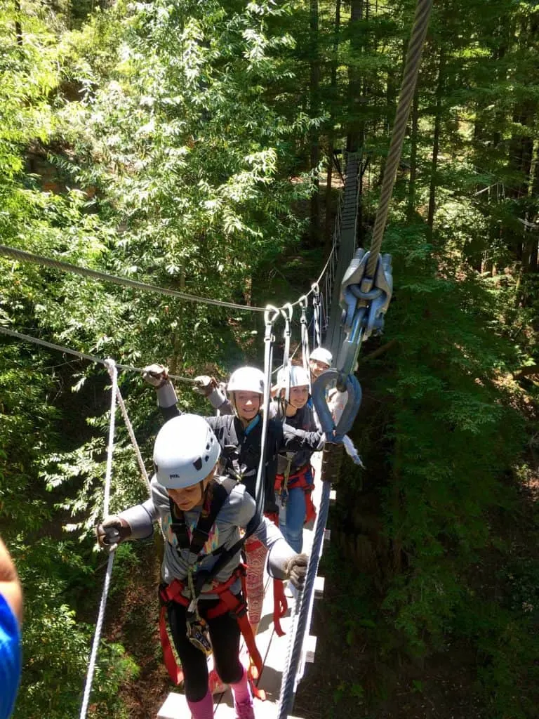 canopy-tours-fun-things-to-do-in-santa-rosa
