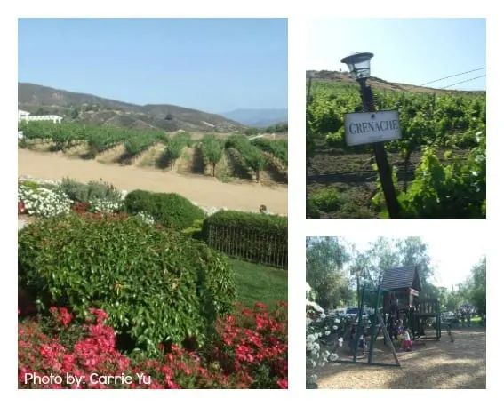 kid friendly Temecula, CA wineries