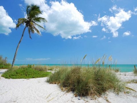 Kid-Friendly North Captiva Island: Adventurous Relaxation