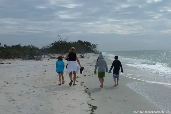 kid friendly north captiva family walk