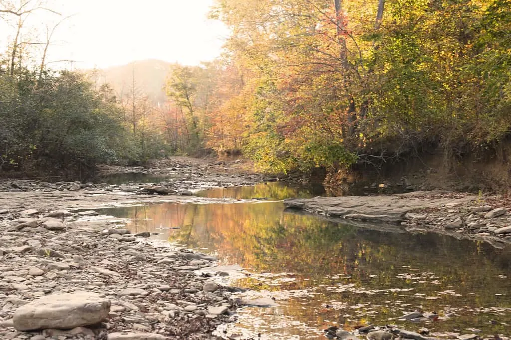 Buffalo National river photo