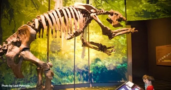 tellus_museum_dinosaur_atlanta