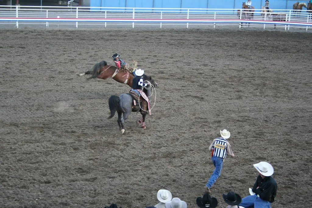 cody nite rodeo photo