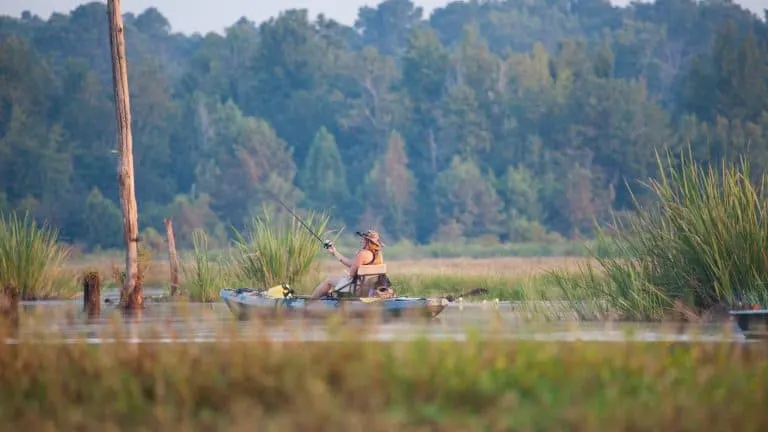 Top-10-things-to-do-in-Louisiana-Kayak-Fishing