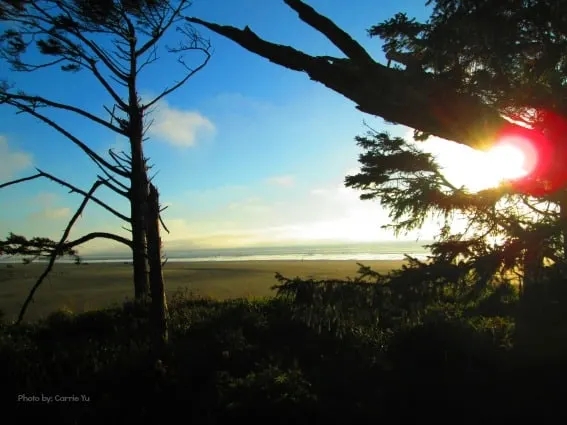 washington coast vacation