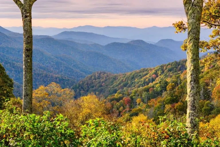One of the best things to do in Tennessee with kids is visit Great Smoky Mountains National Park