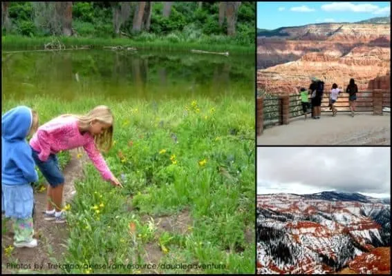 Cedar Breaks