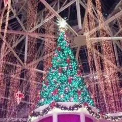 Christmas in Orlando- The Best Orlando Christmas Events in 2023