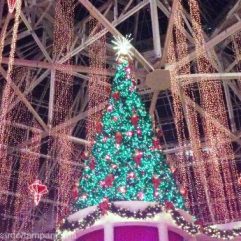 Christmas in Orlando- The Best Orlando Christmas Events in 2024