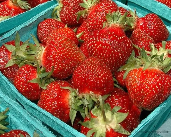 Weekend Getaways in Wisconsin Cedarburg Strawberry