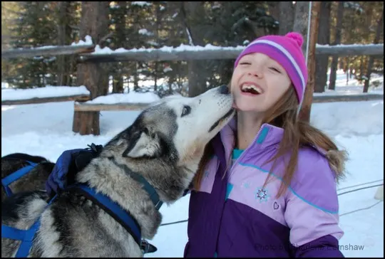 Dog sledding kids