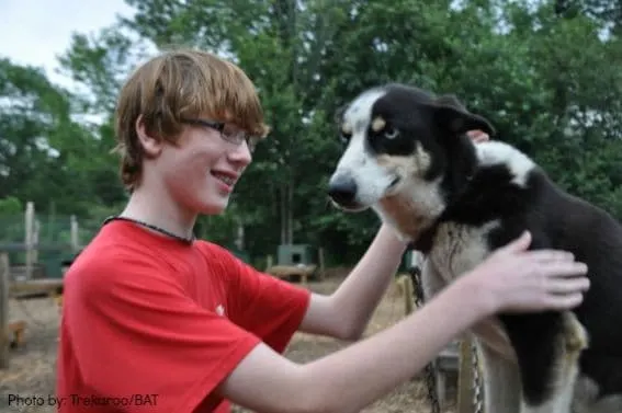 dog sledding experiences for families