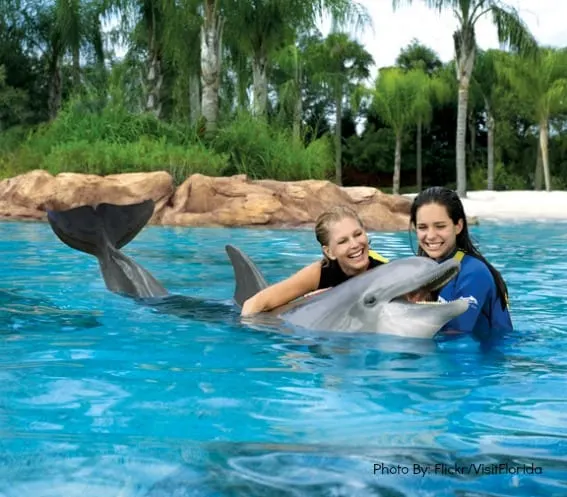 SeaWorld Orlando Educational Animal Encounters