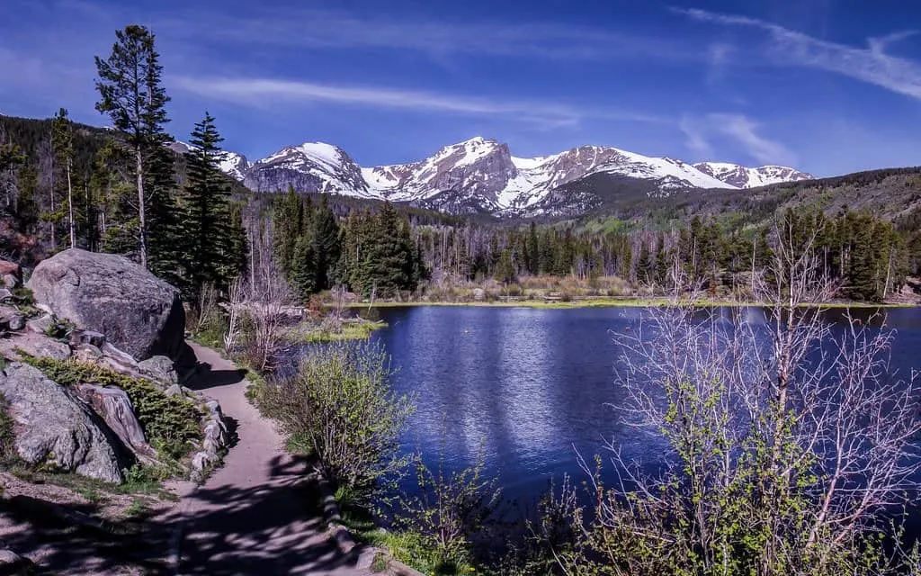 sprague lake is a good place to spot moose in Rocky Mountain National Park