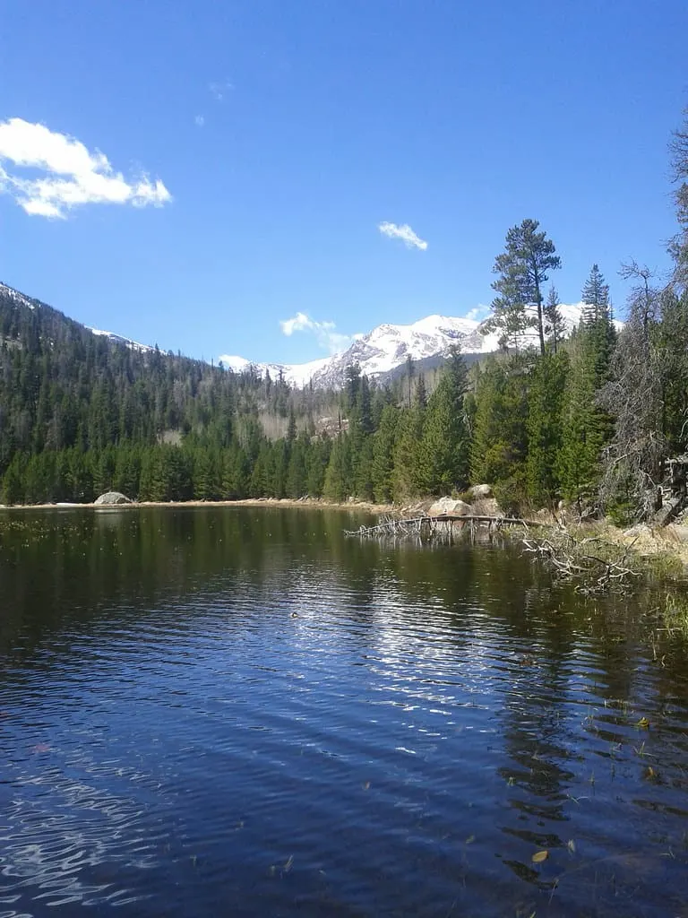 cub lake photo