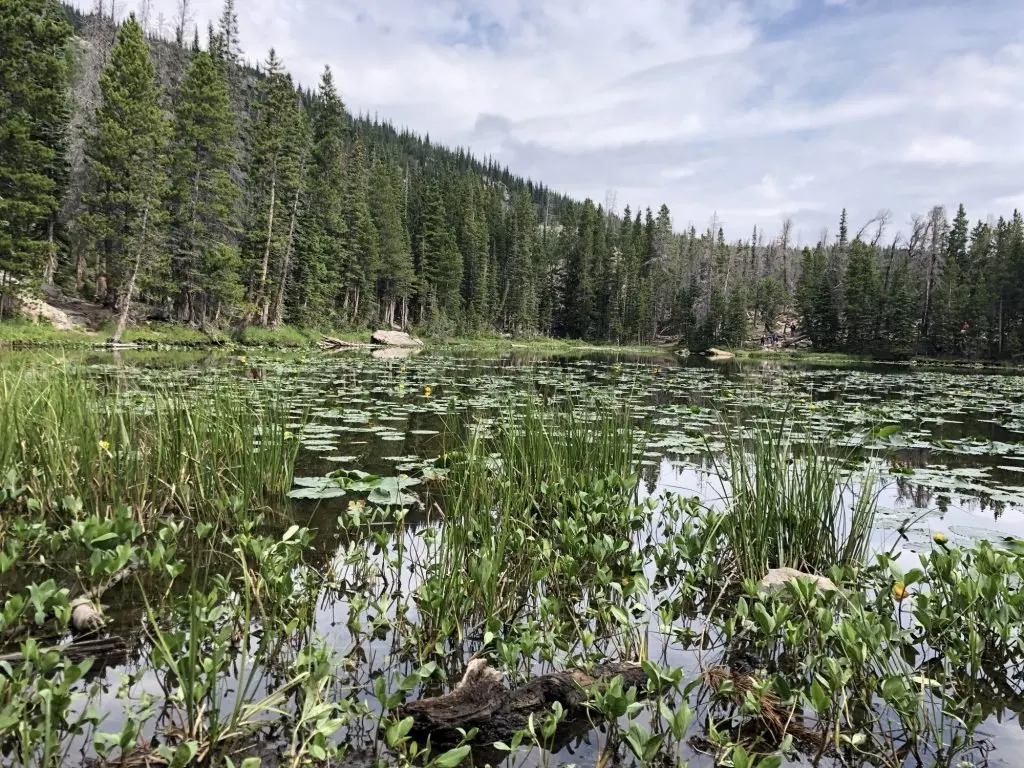 Nymph Lake on the Emerald Lake Trail 