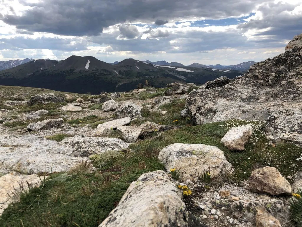 Life at 13,000 Feet on Trail Ridge Road | photo by Sharlene Earnshaw