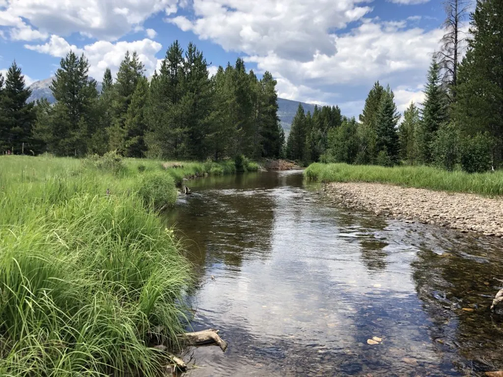 Coyote Valley is one of the best things to do in Rocky Mountain National Park with kids